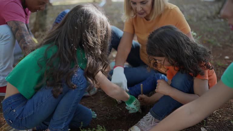 Soil Testing and Treatment